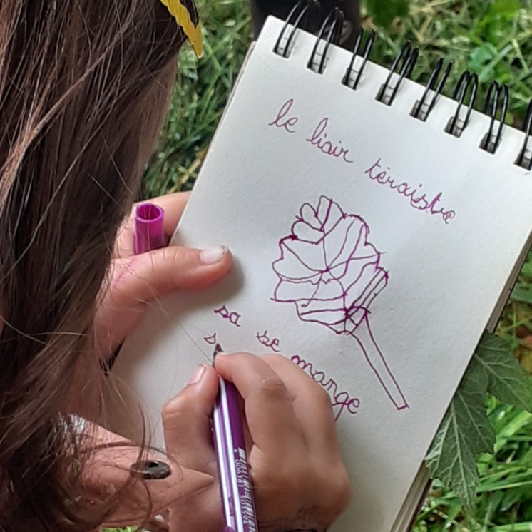 Botanique, art et jeux en famille