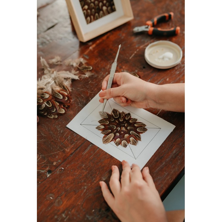 Réalisez votre tableau en plumes naturelles