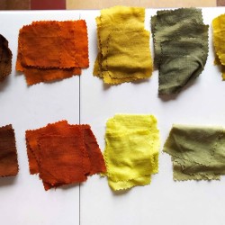 Découvrez la teinture végétale le temps d'une journée