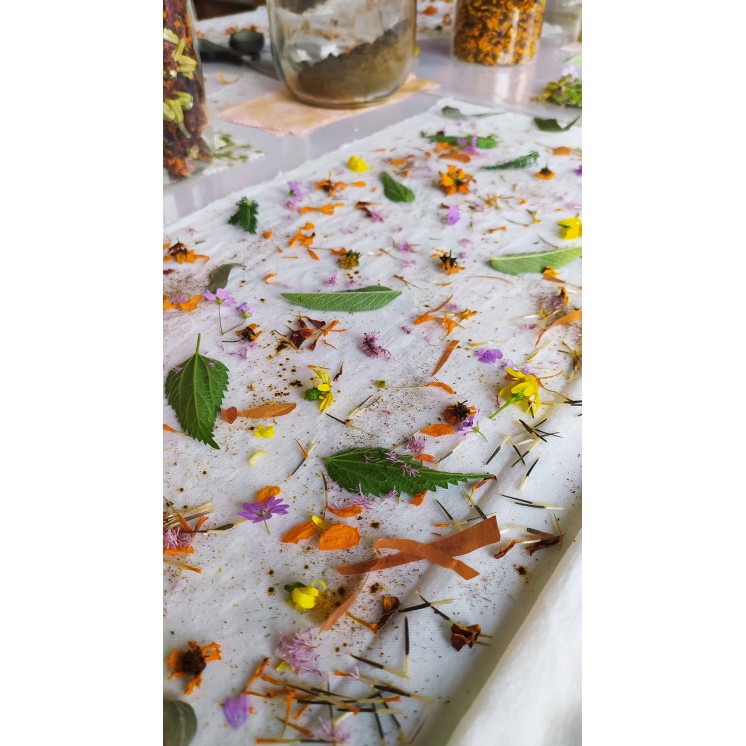 Découvrez la teinture végétale le temps d'une journée