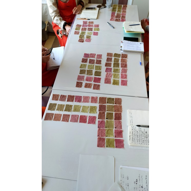 Découvrez la teinture végétale le temps d'une journée