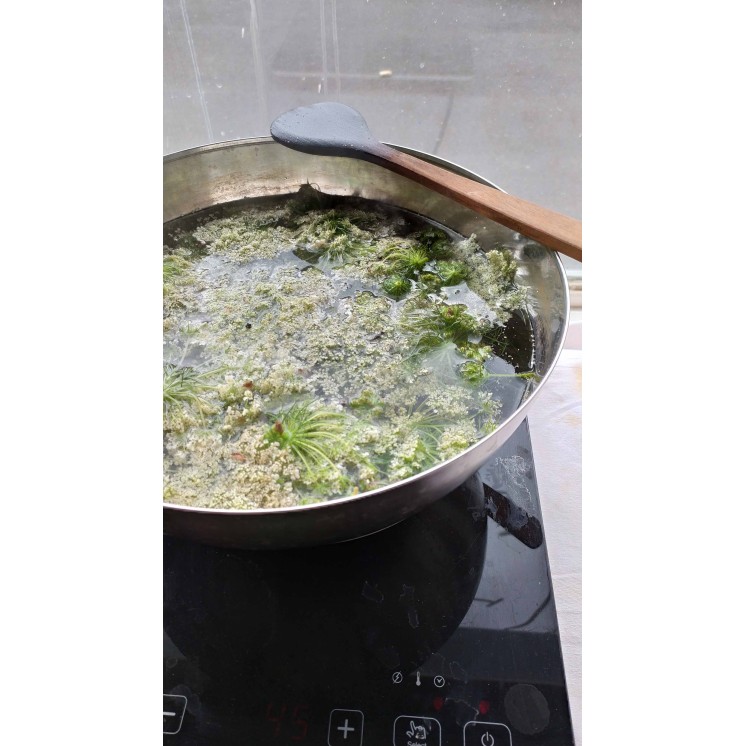 Découvrez la teinture végétale le temps d'une journée