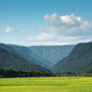 Excursion dans la vallée verte