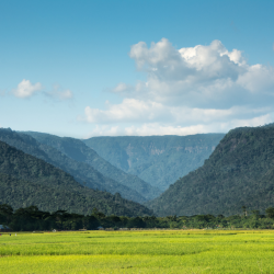 Excursion dans la vallée verte