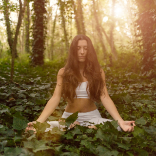 Séance de yoga en pleine forêt